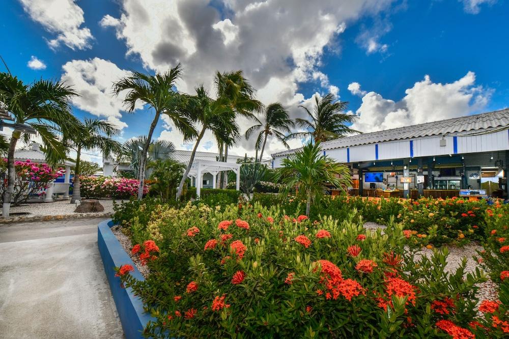 Aruba Blue Village Hotel And Apartments Palm Beach Zewnętrze zdjęcie